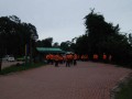 Tn DSC 6158